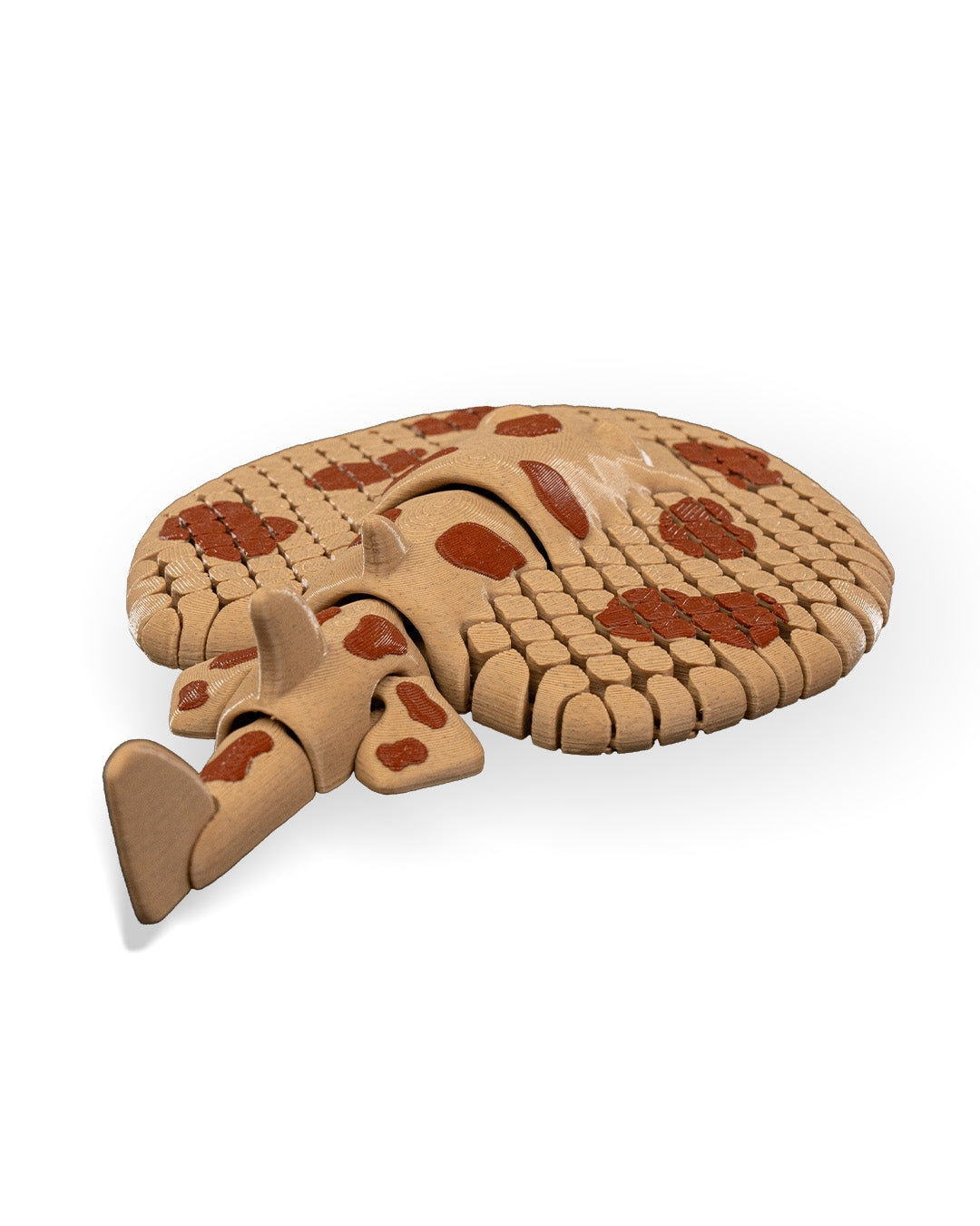 Lexi, the Electric Ray — Large Decorative Collectible (18cm)