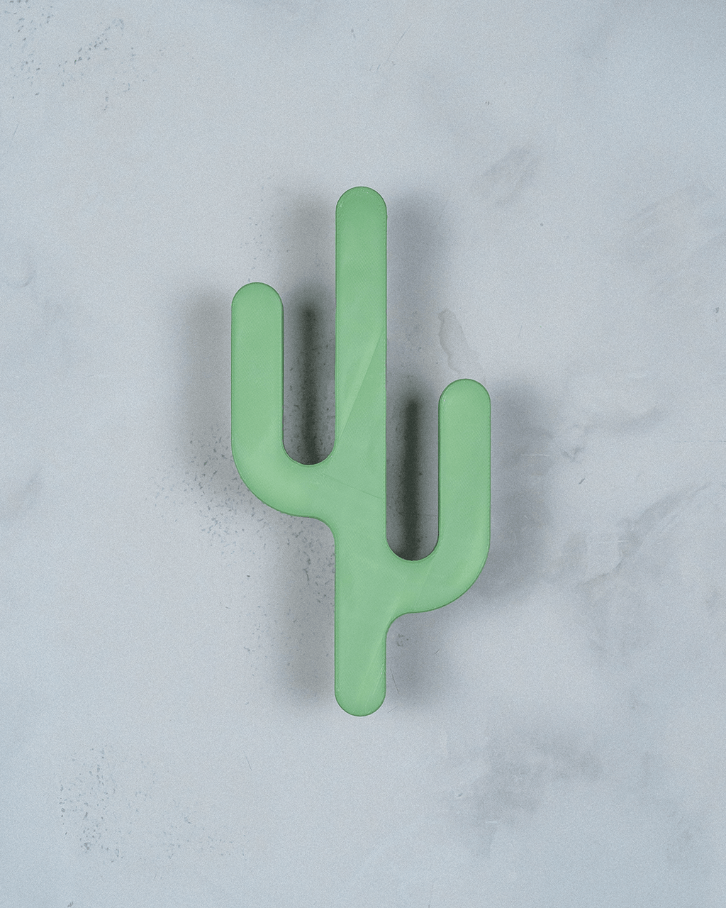 Desert Hook — Cactus Wall Hanger