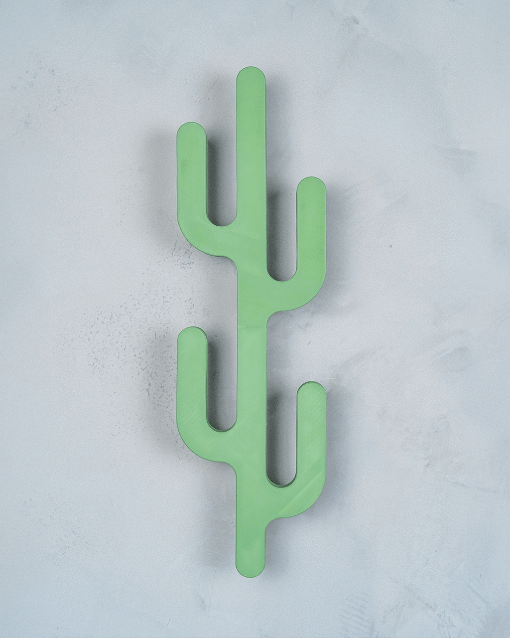 Desert Hook — Cactus Wall Hanger