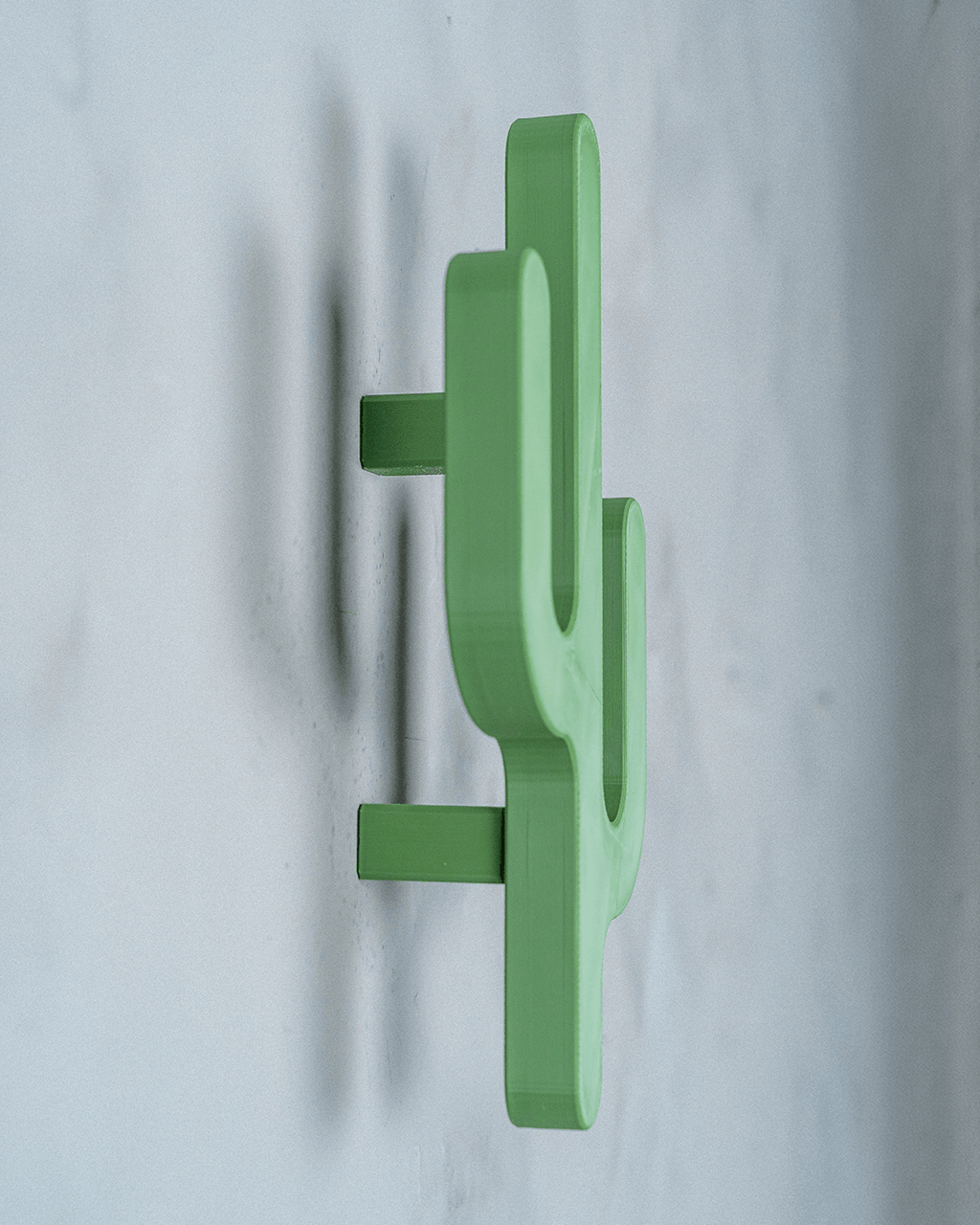 Desert Hook — Cactus Wall Hanger
