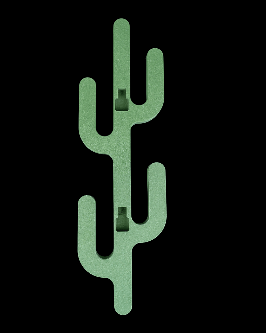 Desert Hook — Cactus Wall Hanger