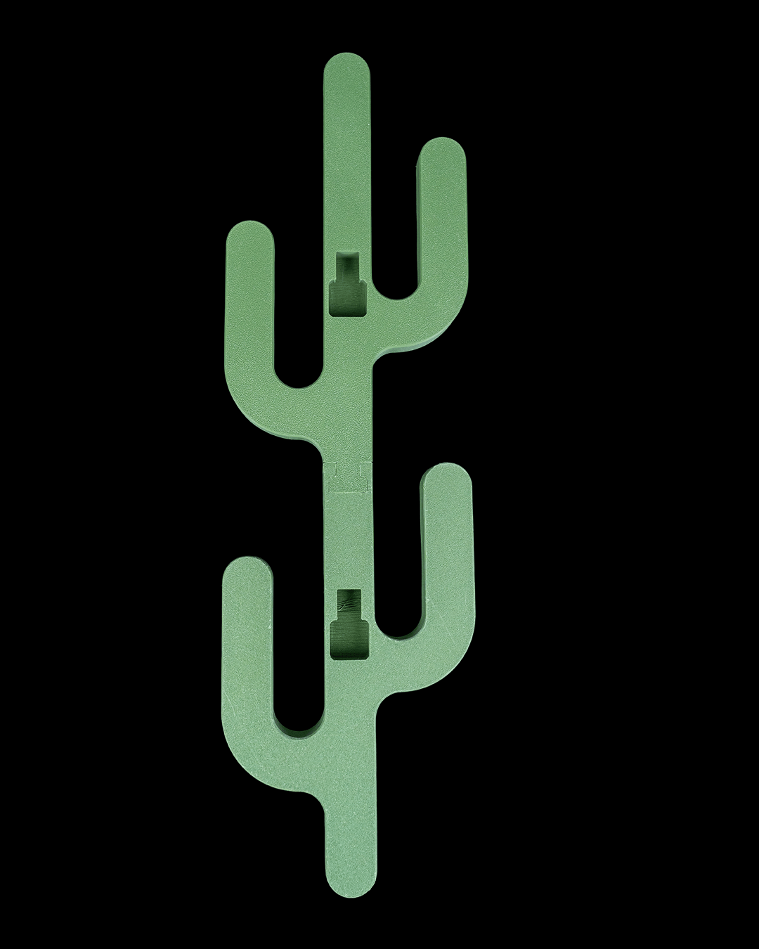 Desert Hook — Cactus Wall Hanger