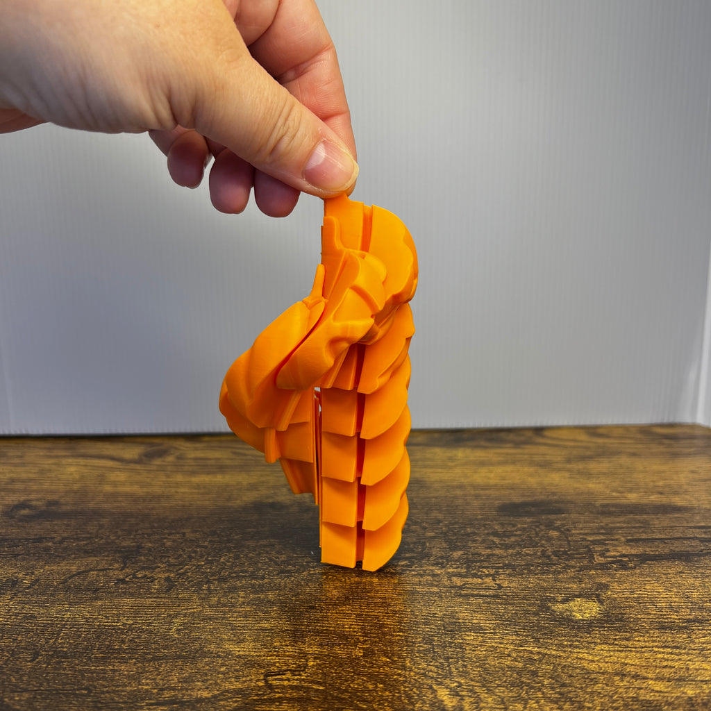 Pumpkin Fidget